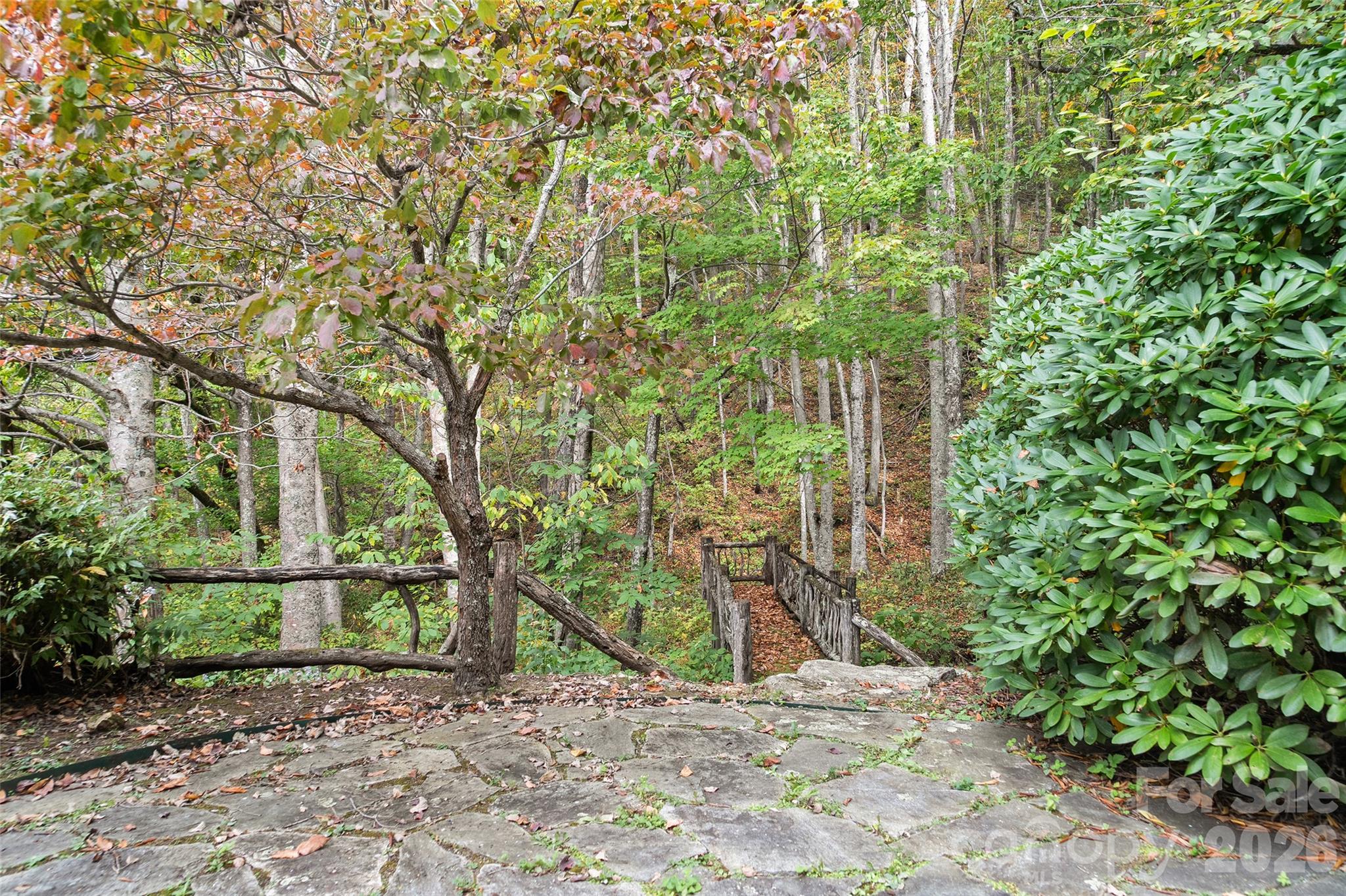 Lot at 45 Smoke Vine Trail, Clyde, photo 17 of 34
