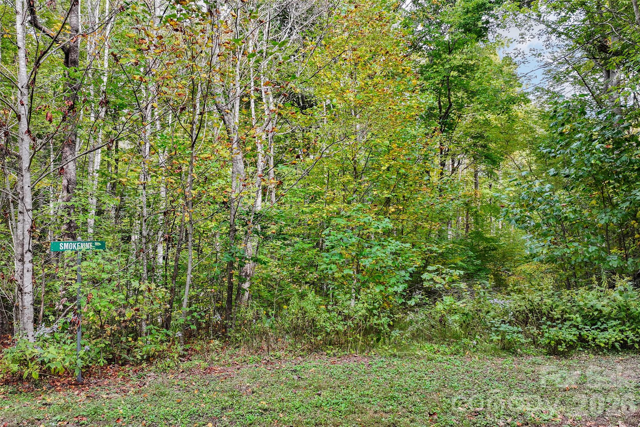 Lot at 45 Smoke Vine Trail, Clyde, photo 23 of 34