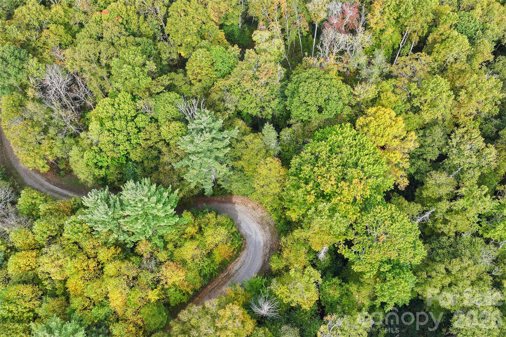 Lot at 45 Smoke Vine Trail, Clyde, photo 25 of 34