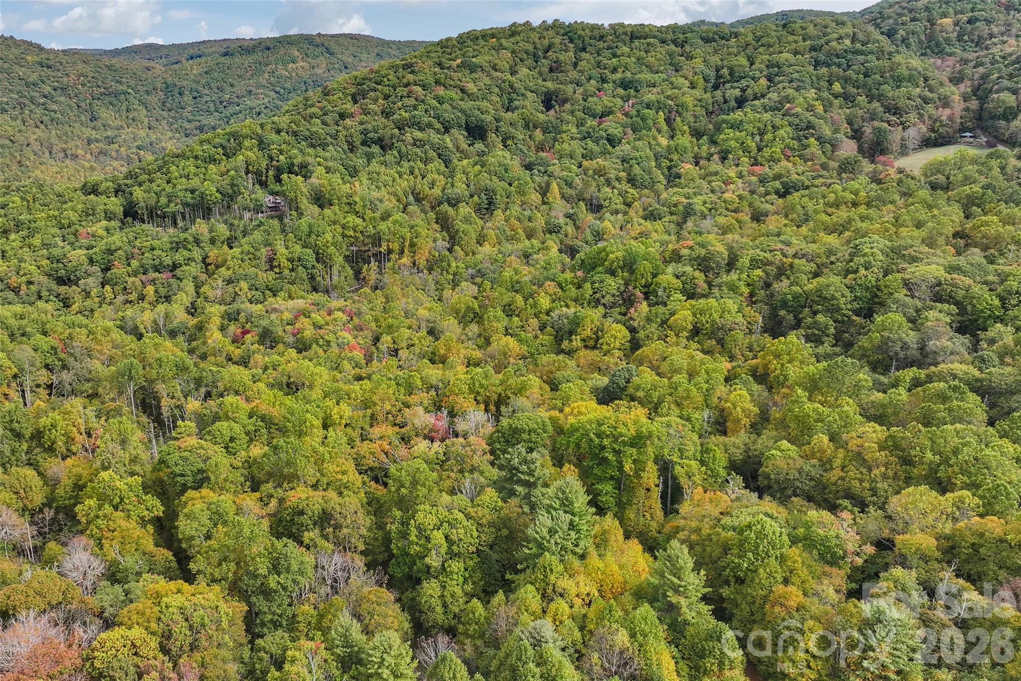 Lot at 45 Smoke Vine Trail, Clyde, photo 30 of 34