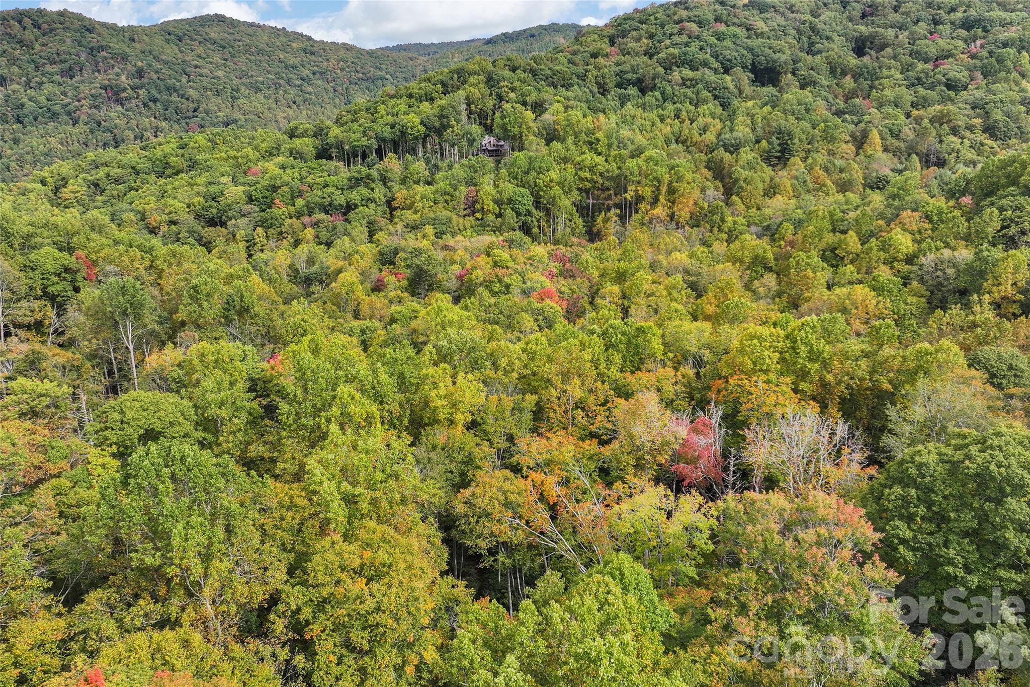 Lot at 45 Smoke Vine Trail, Clyde, photo 31 of 34