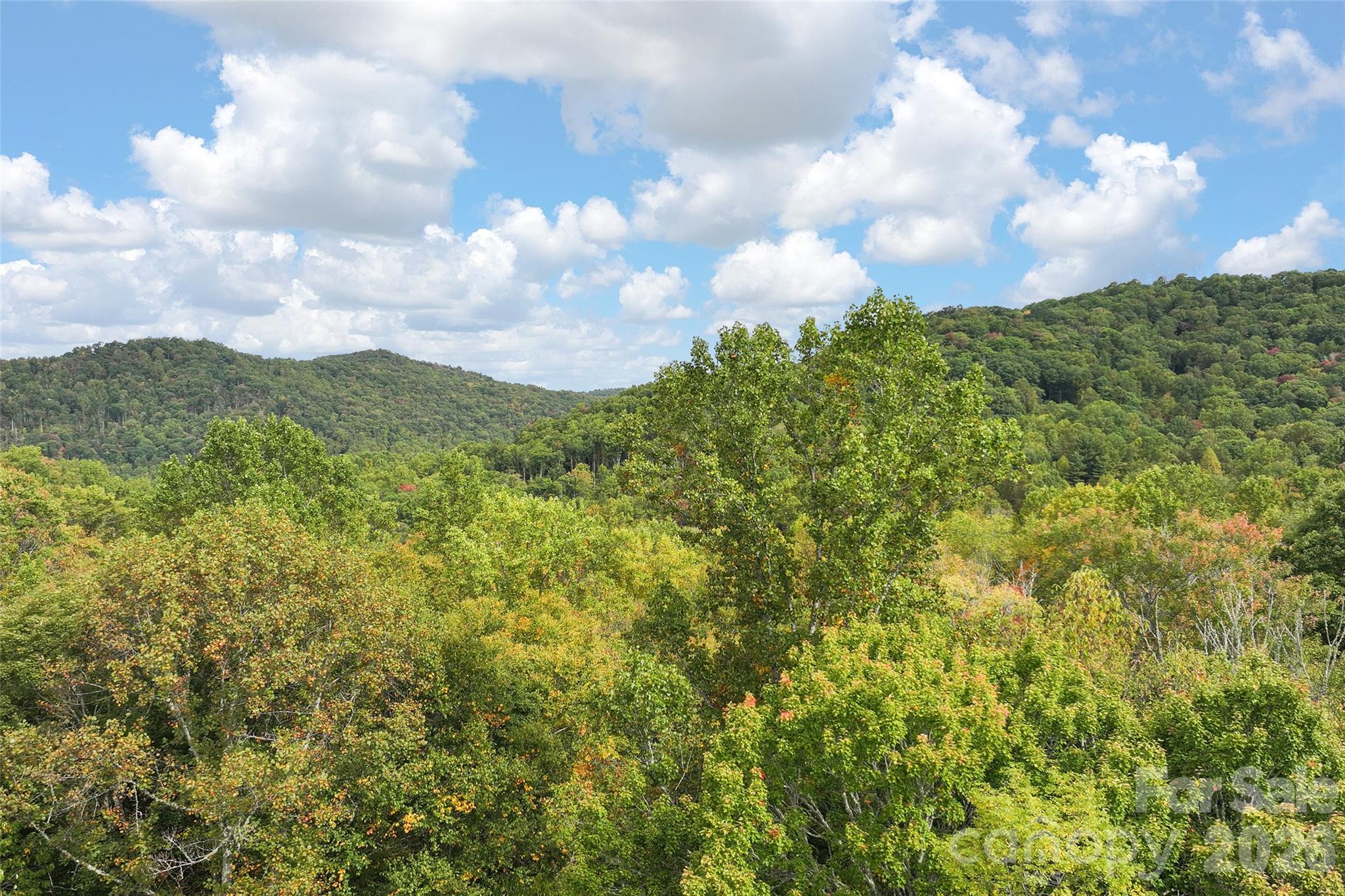 Lot at 45 Smoke Vine Trail, Clyde, photo 32 of 34