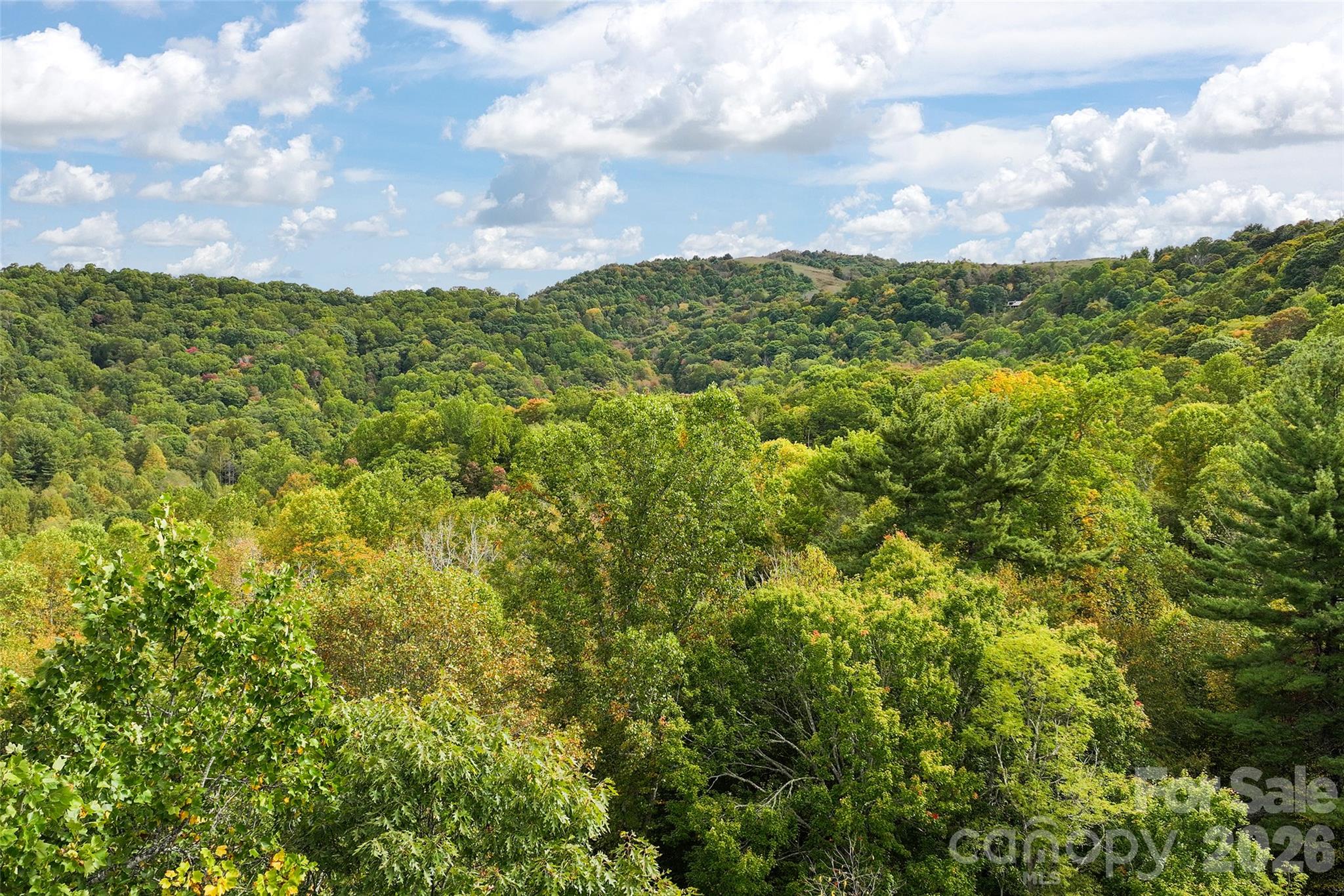 Lot at 45 Smoke Vine Trail, Clyde, photo 33 of 34