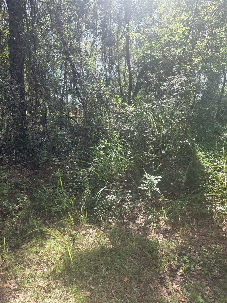 TBD SE 136TH LN