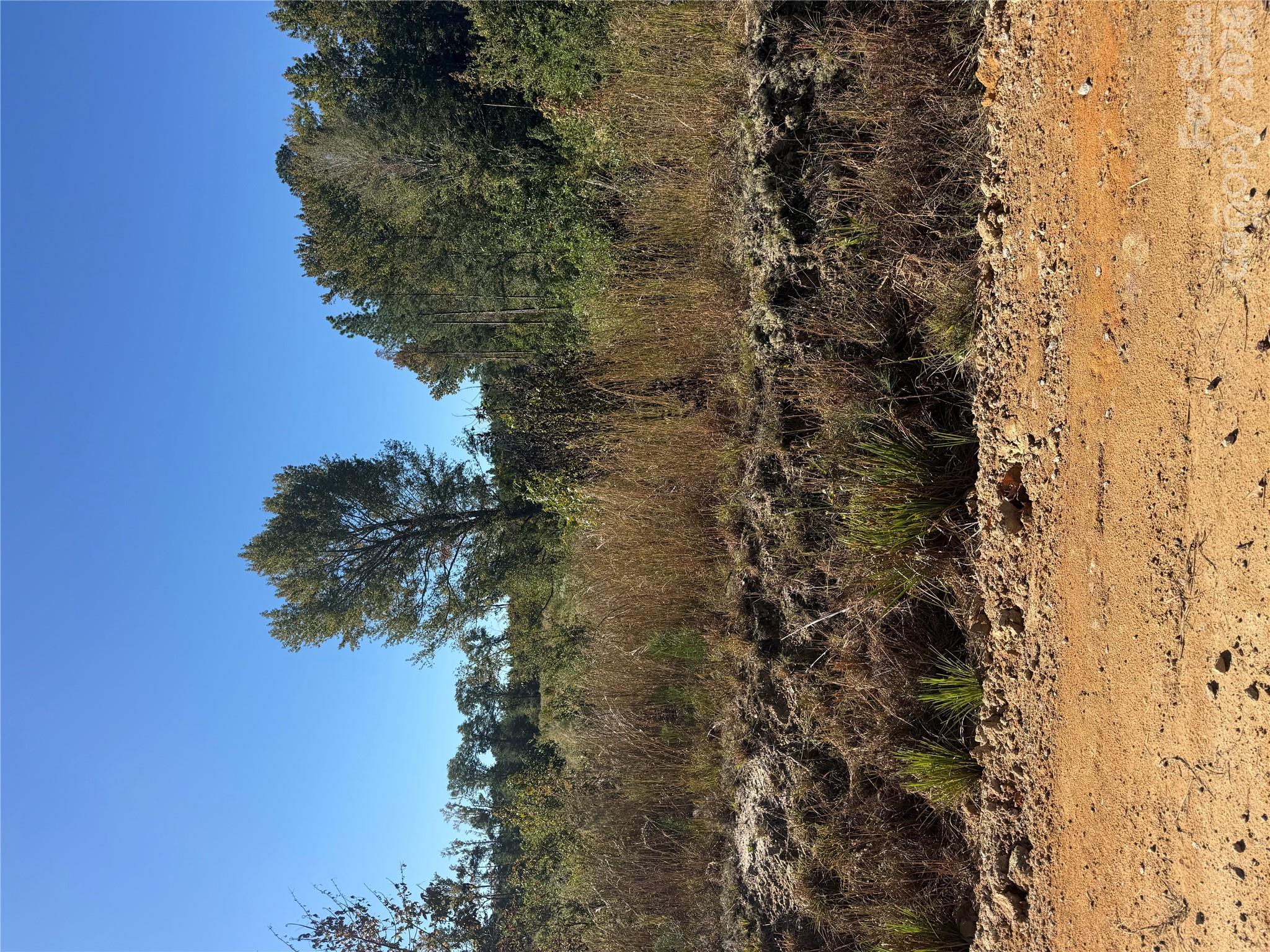 TBD Rock House Road