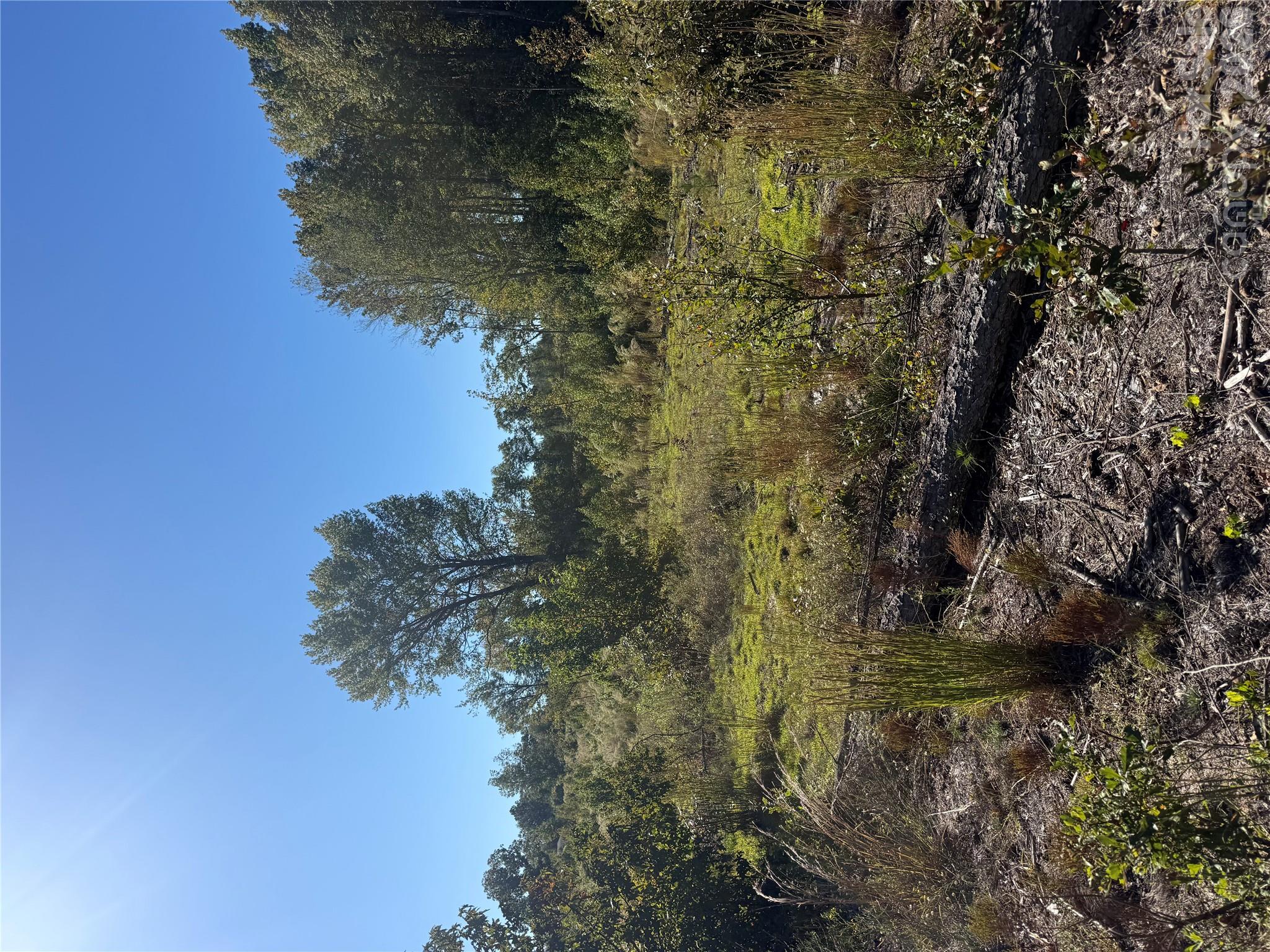 Acreage at TBD Rock House Road, Mount Croghan, photo 2 of 5