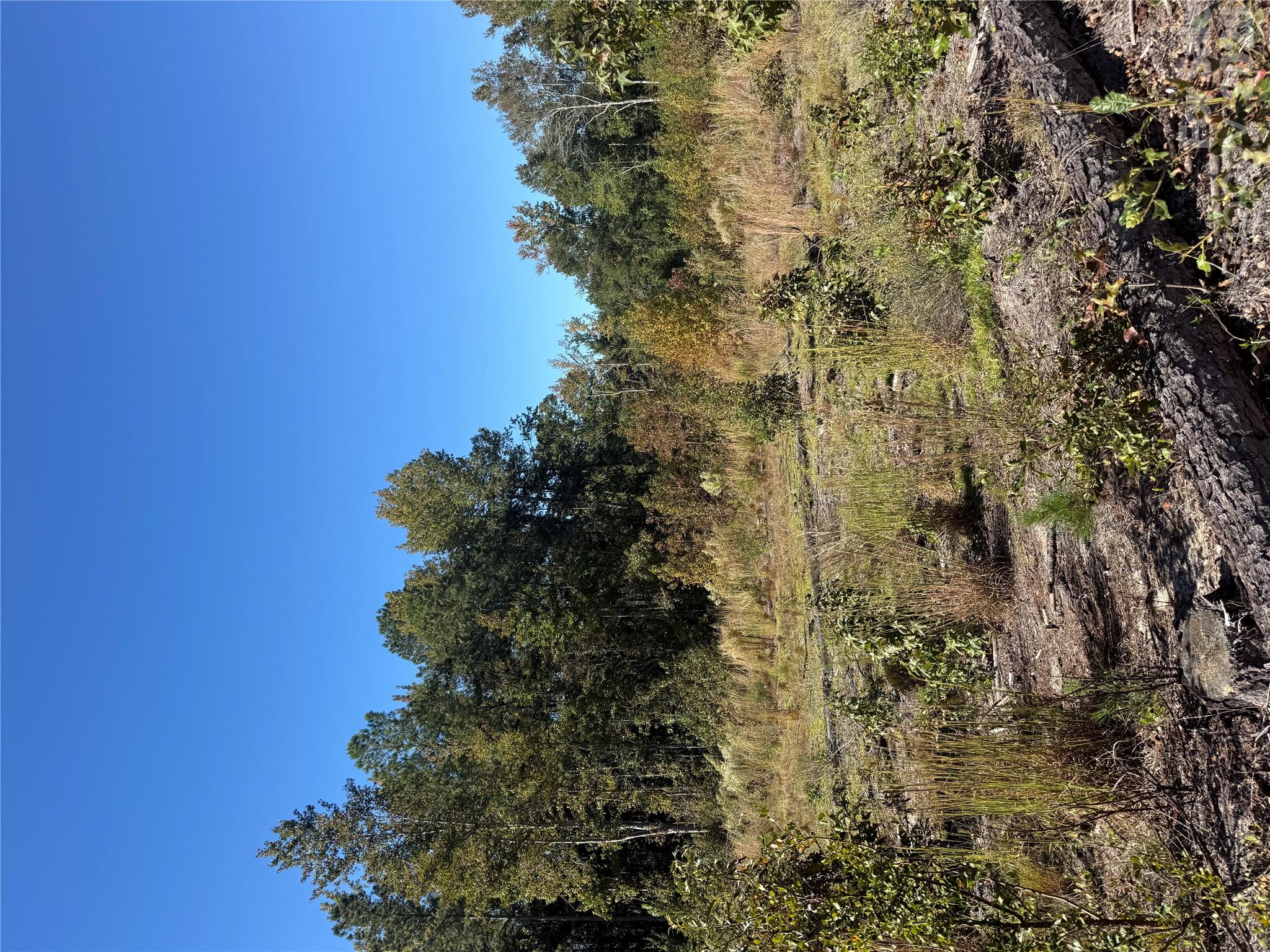 Acreage at TBD Rock House Road, Mount Croghan, photo 3 of 5