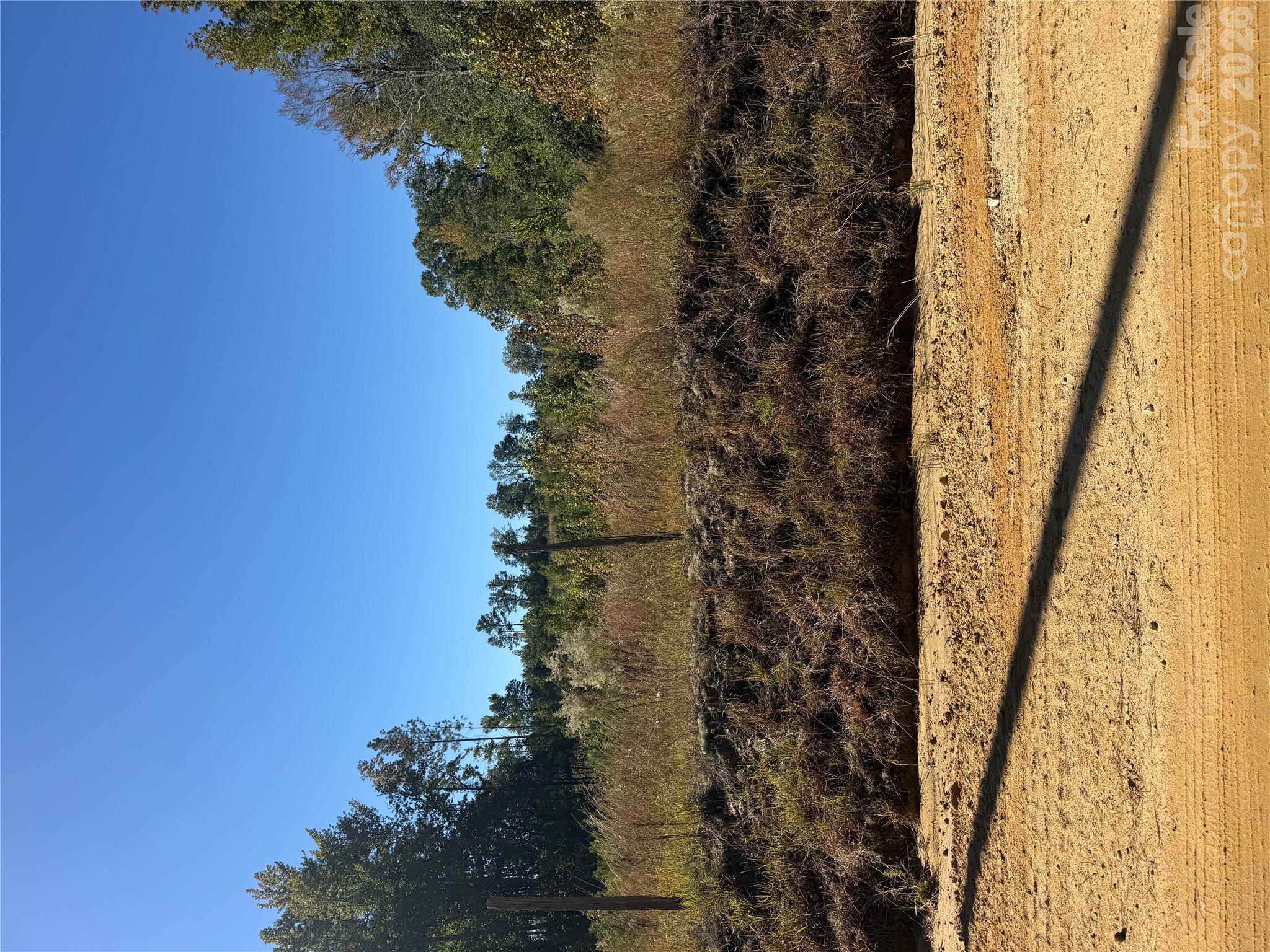Acreage at TBD Rock House Road, Mount Croghan, photo 5 of 5