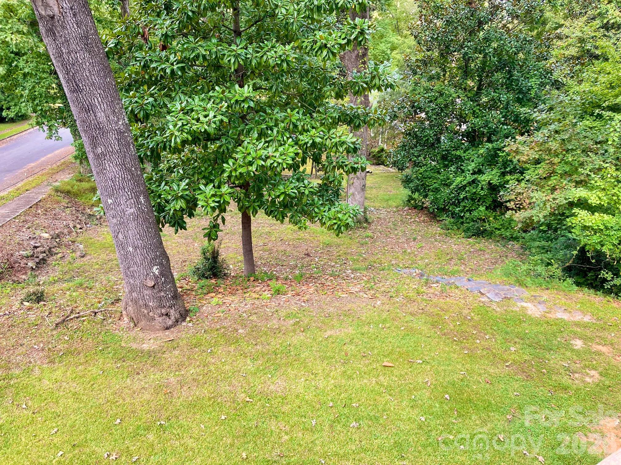 Rear yard view from the deck. - 326 S 3rd Street, Albemarle