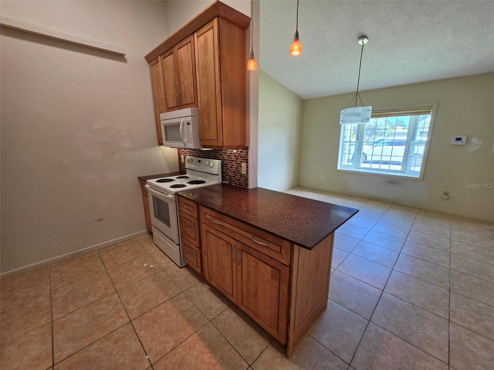 Single Family Residence at 10 EAGLE LN, NEW SMYRNA BEACH, photo 12 of 52