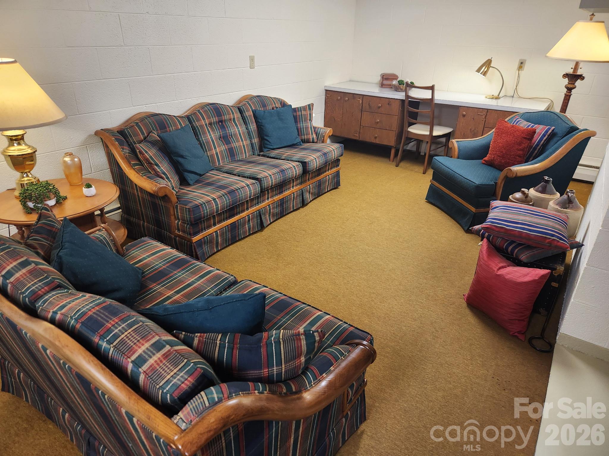 Basement Den/Living Area - 1007 Woodland Street SE, Valdese