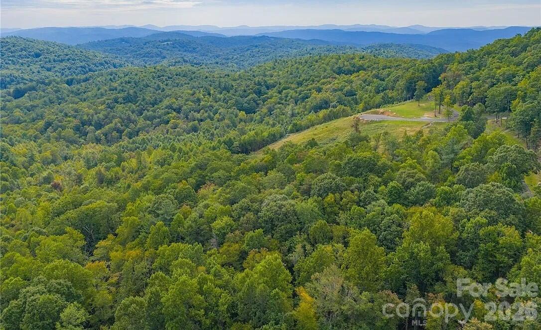 49 Wildcat Wilderness Parkway