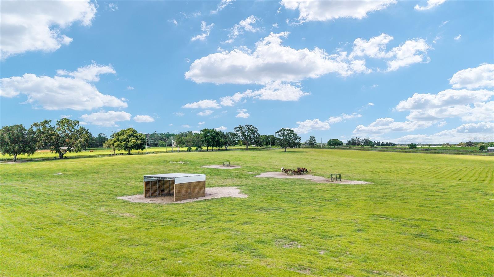 1177 NW 102ND BLVD #Option 1