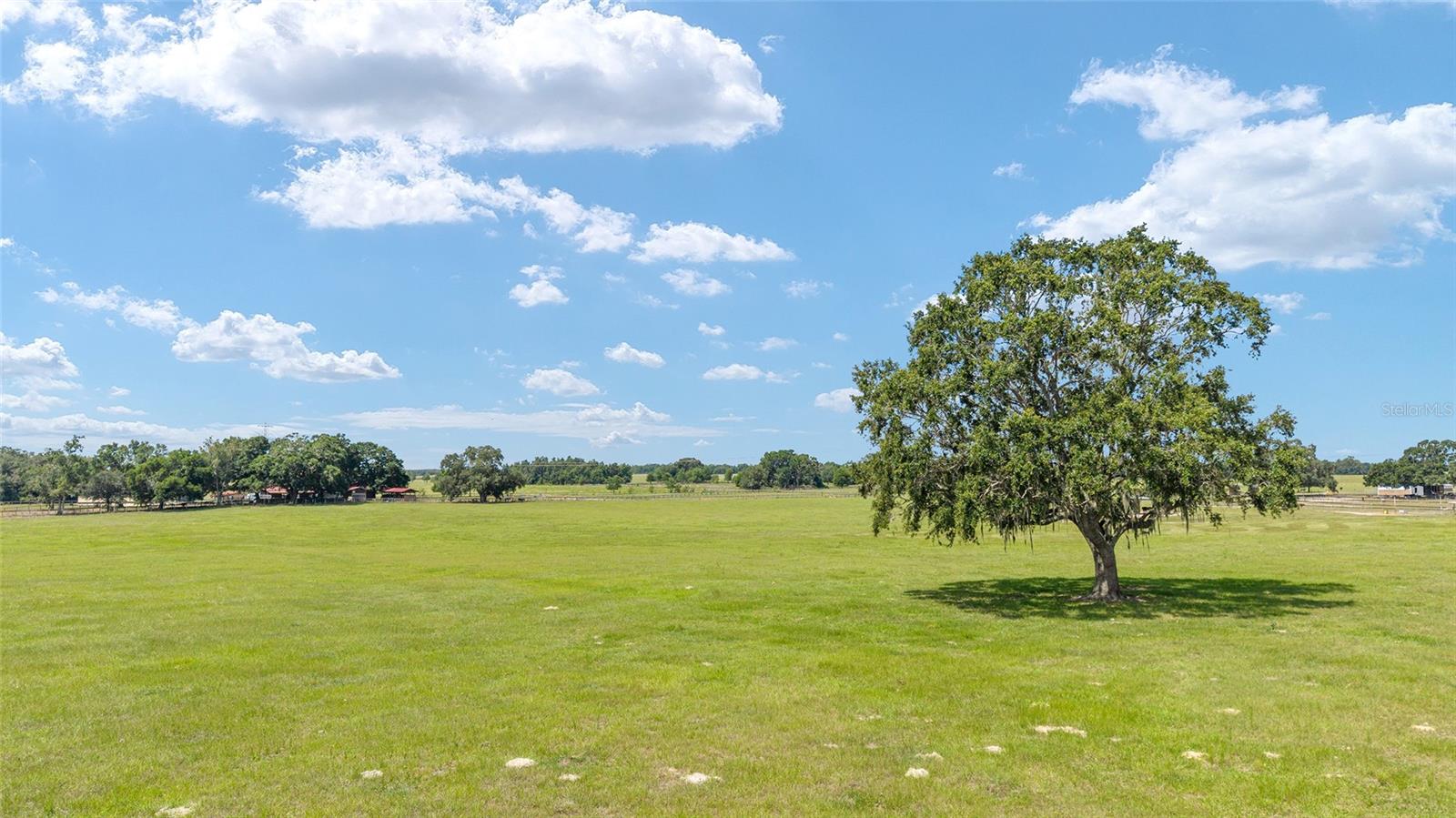Land at 1177 NW 102ND BLVD #Option 1, WILDWOOD, photo 2 of 15