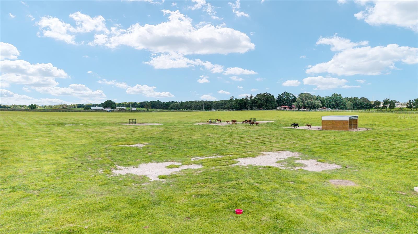 Land at 1177 NW 102ND BLVD #Option 1, WILDWOOD, photo 3 of 15