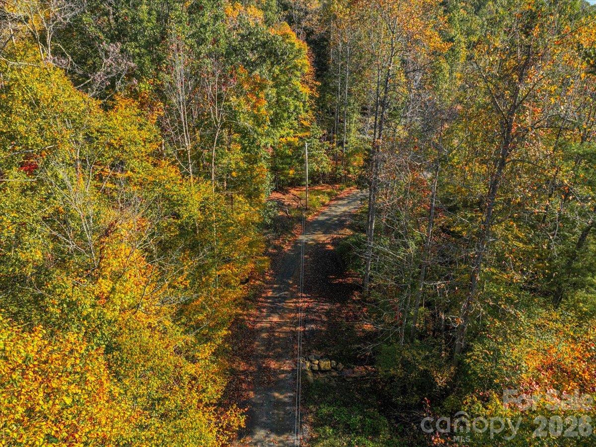 Acreage at 001 Pond Road, Spruce Pine, photo 4 of 6
