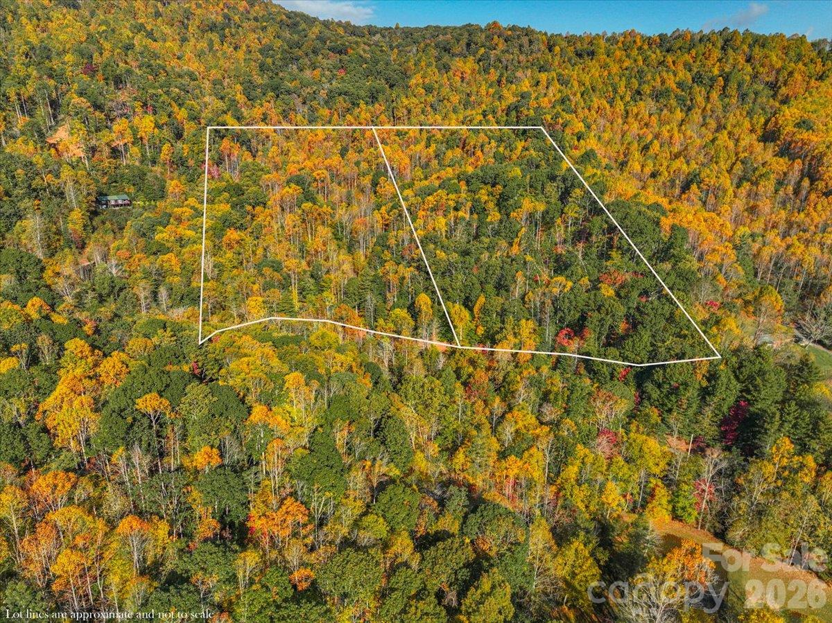 Acreage at 001 Pond Road, Spruce Pine, photo 5 of 6