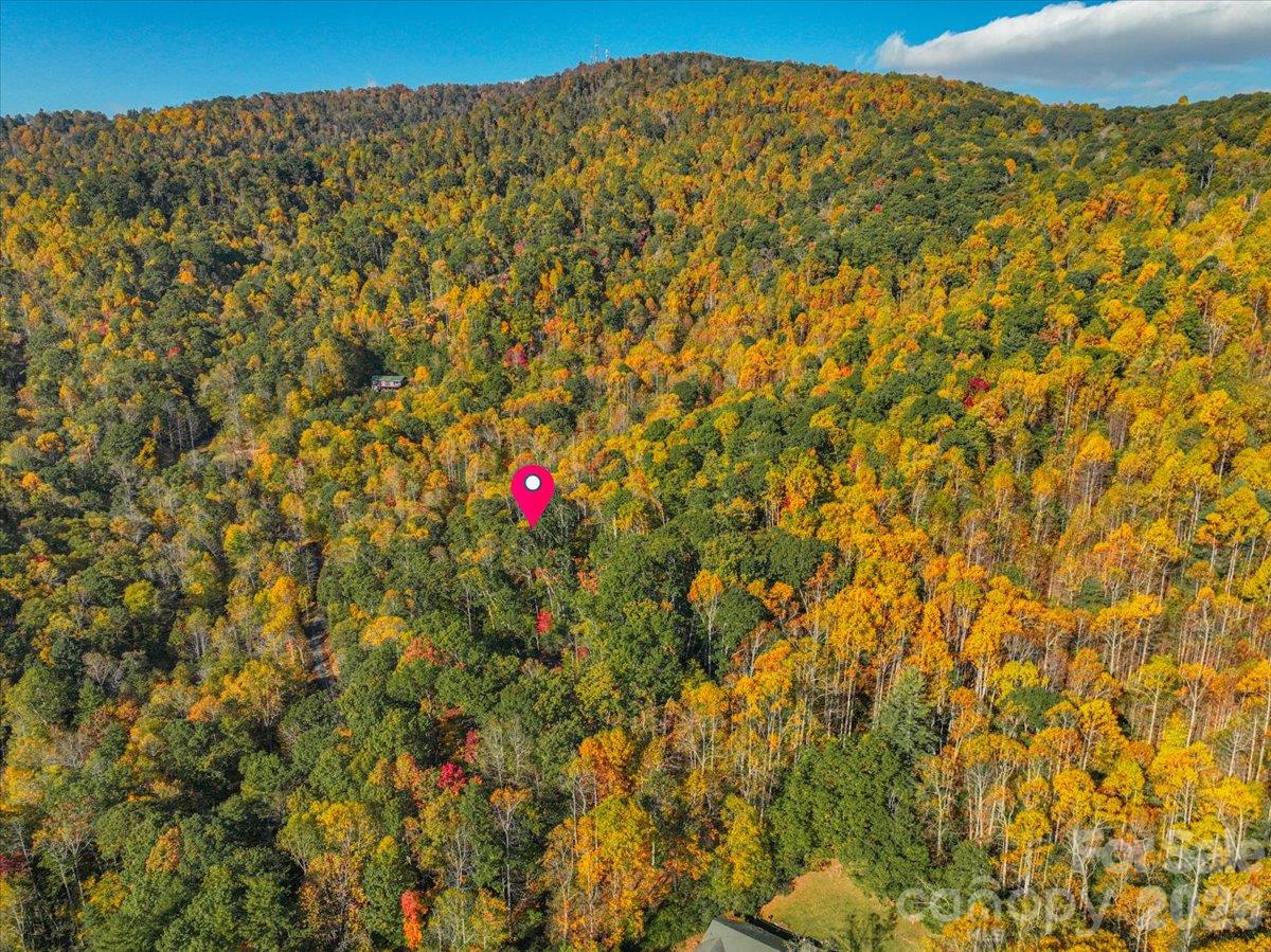 Acreage at 001 Pond Road, Spruce Pine, photo 6 of 6