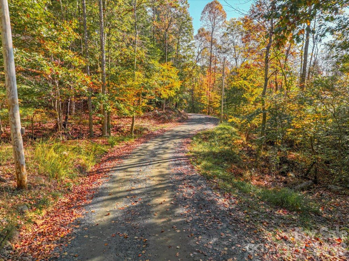 Acreage at 000 Pond Road, Spruce Pine, photo 12 of 14