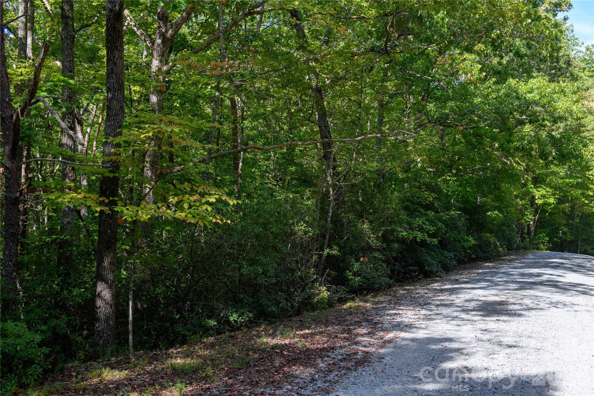 Lot at 0 Bobcat Way, Lake Lure, photo 3 of 14