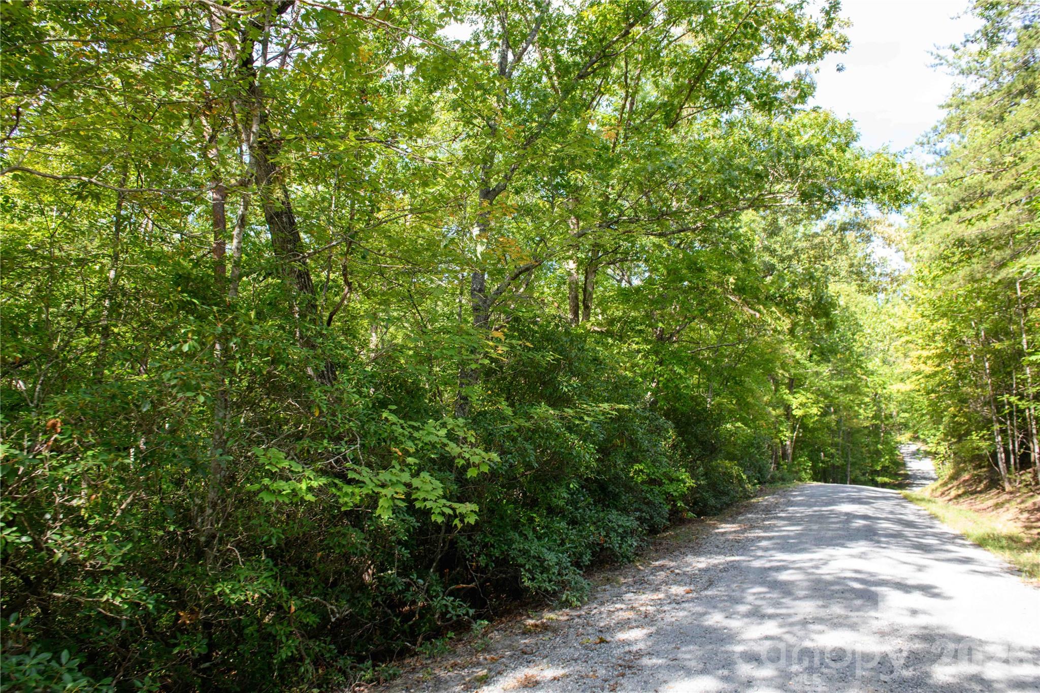 Lot at 0 Bobcat Way, Lake Lure, photo 4 of 14