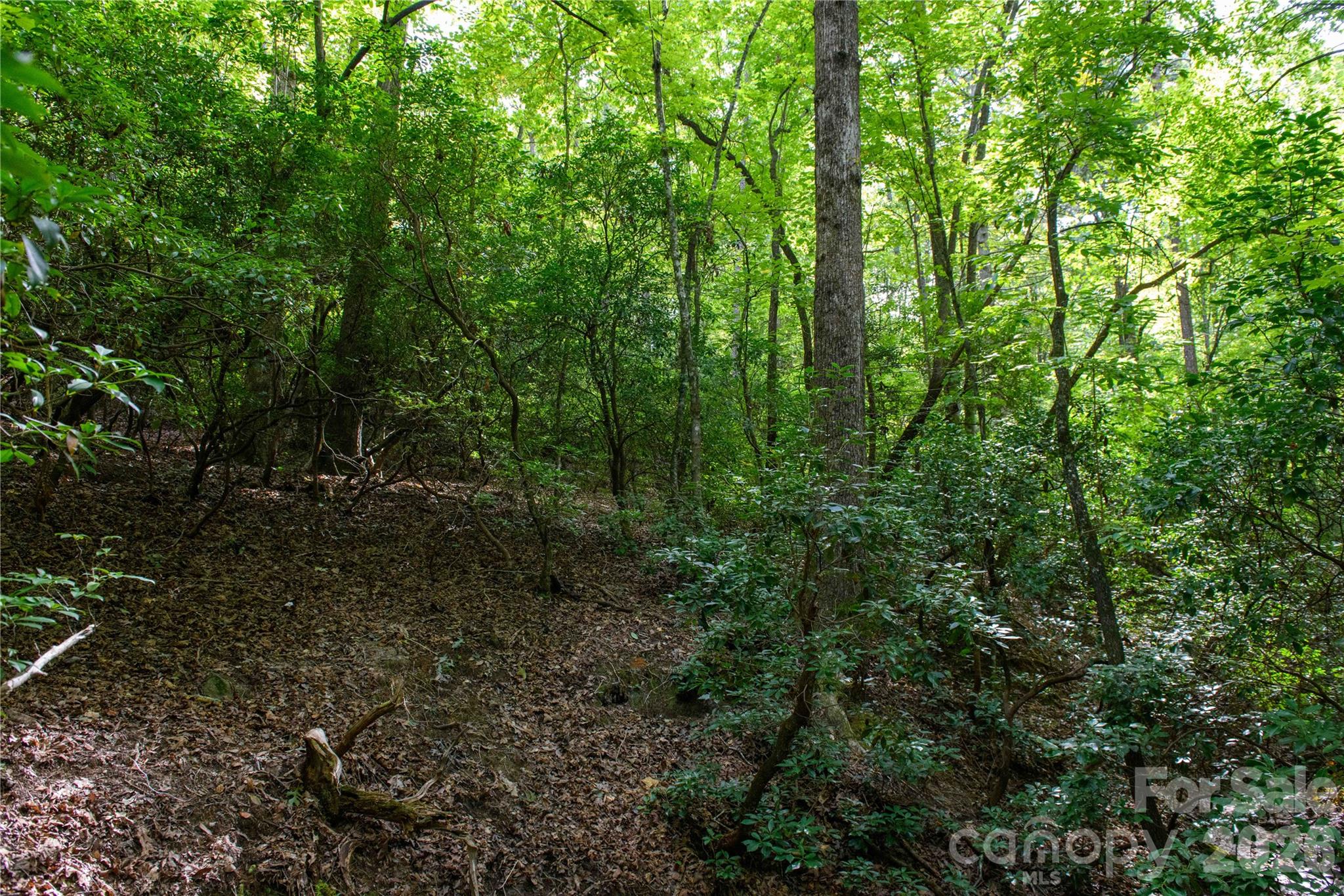 Lot at 0 Bobcat Way, Lake Lure, photo 5 of 14