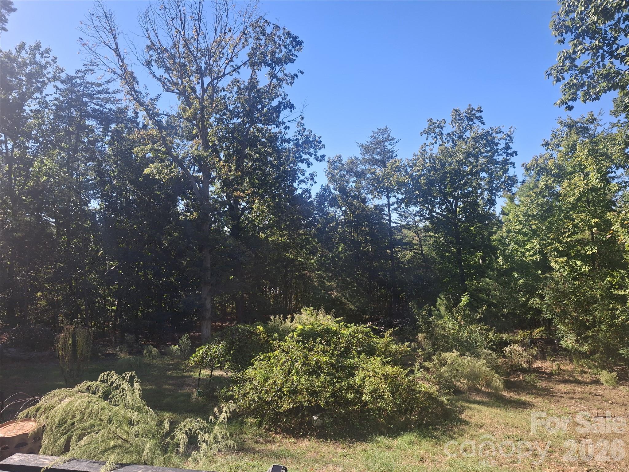 Nature lovers paradise-peach, fig, apple trees, assorted berries, grape vines, chocolate persimmon No pesticides since 2012 - 9327 Willowglen Trail, Charlotte