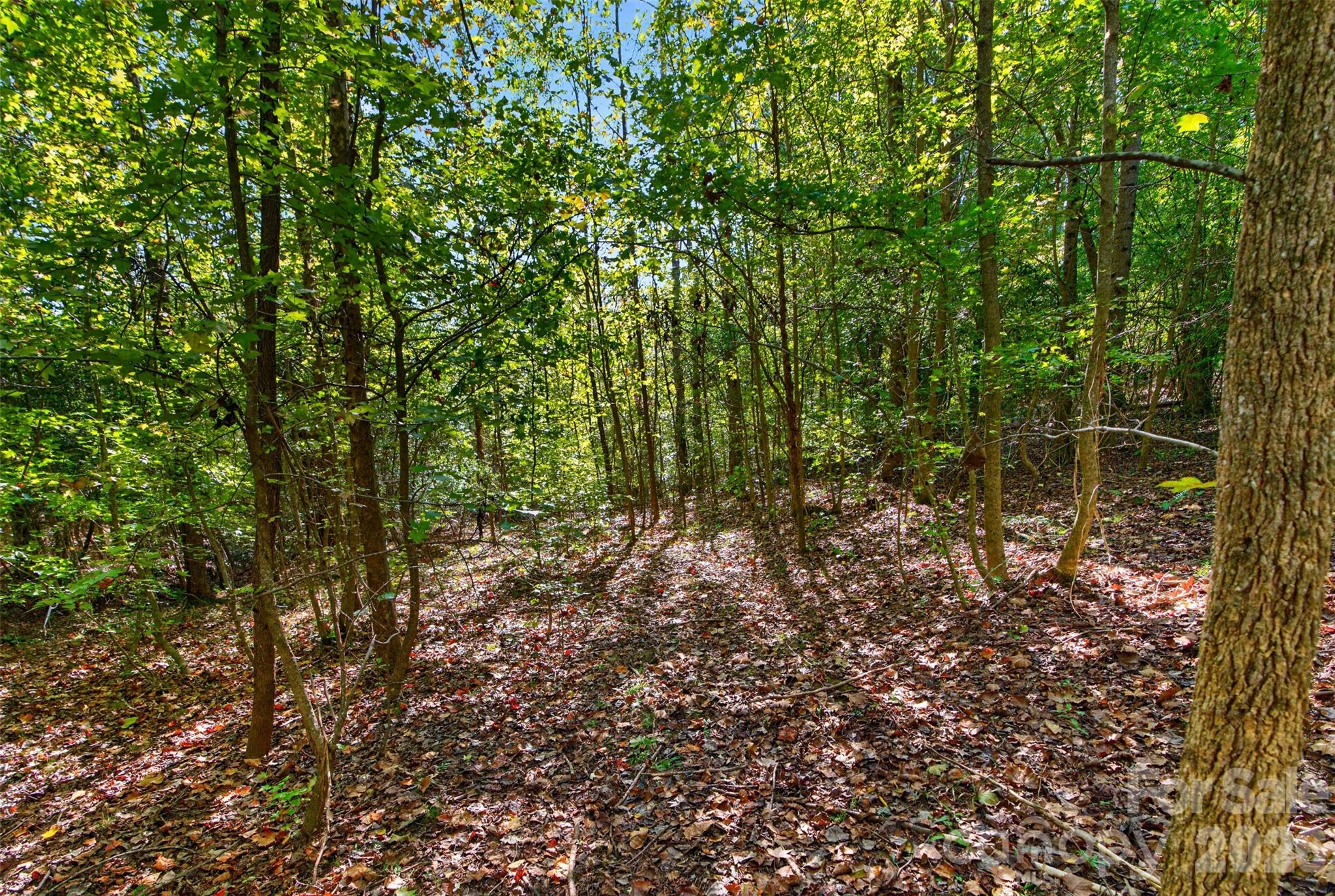Acreage at 0000 Henderson Road, Lancaster, photo 18 of 36