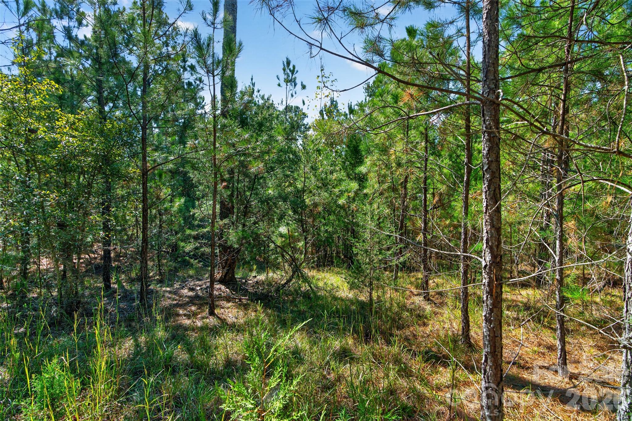 Acreage at 0000 Henderson Road, Lancaster, photo 25 of 36