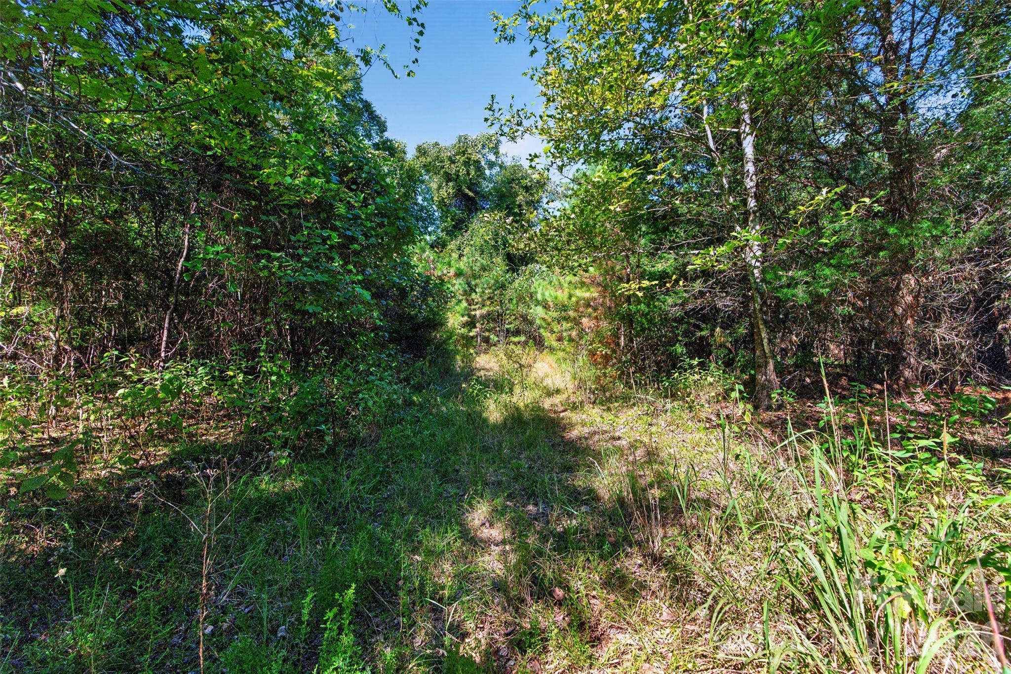 Acreage at 0000 Henderson Road, Lancaster, photo 34 of 36