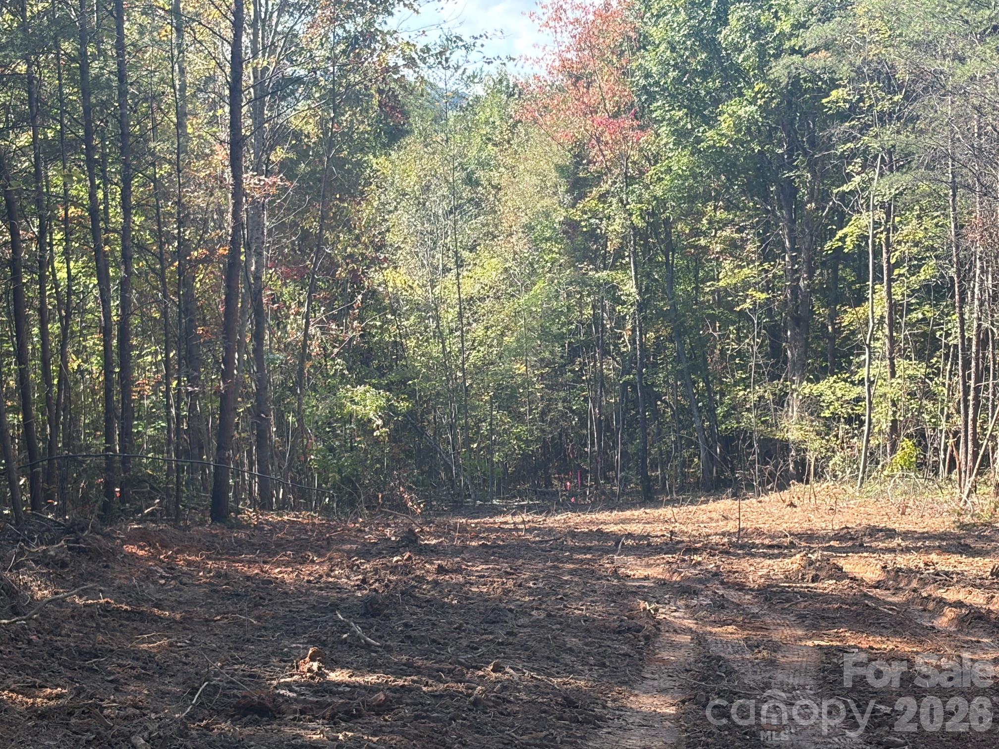 Acreage at TBD Southern Way, Nebo, photo 39 of 47
