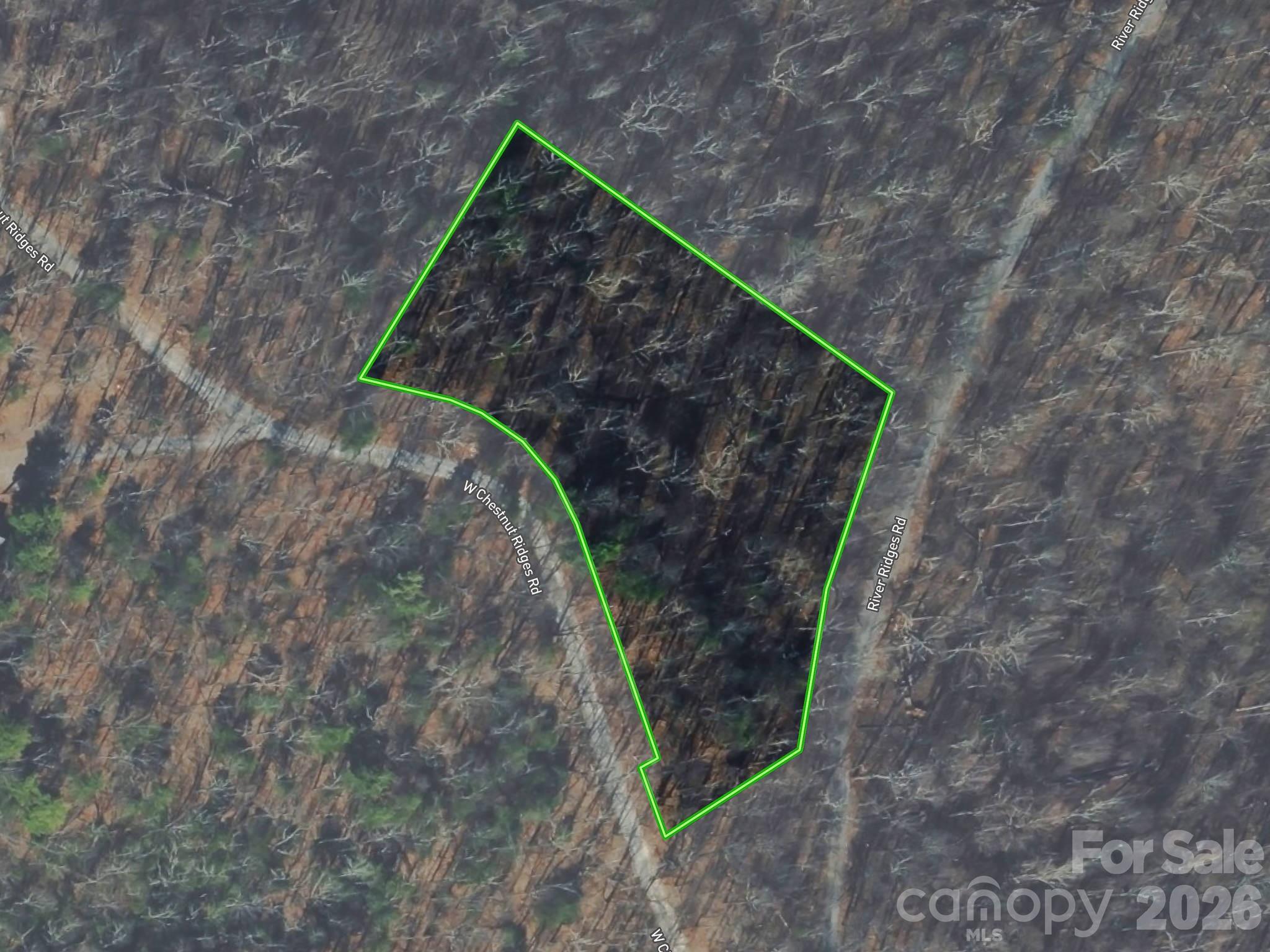 Lot 6 W Chestnut Ridges Road