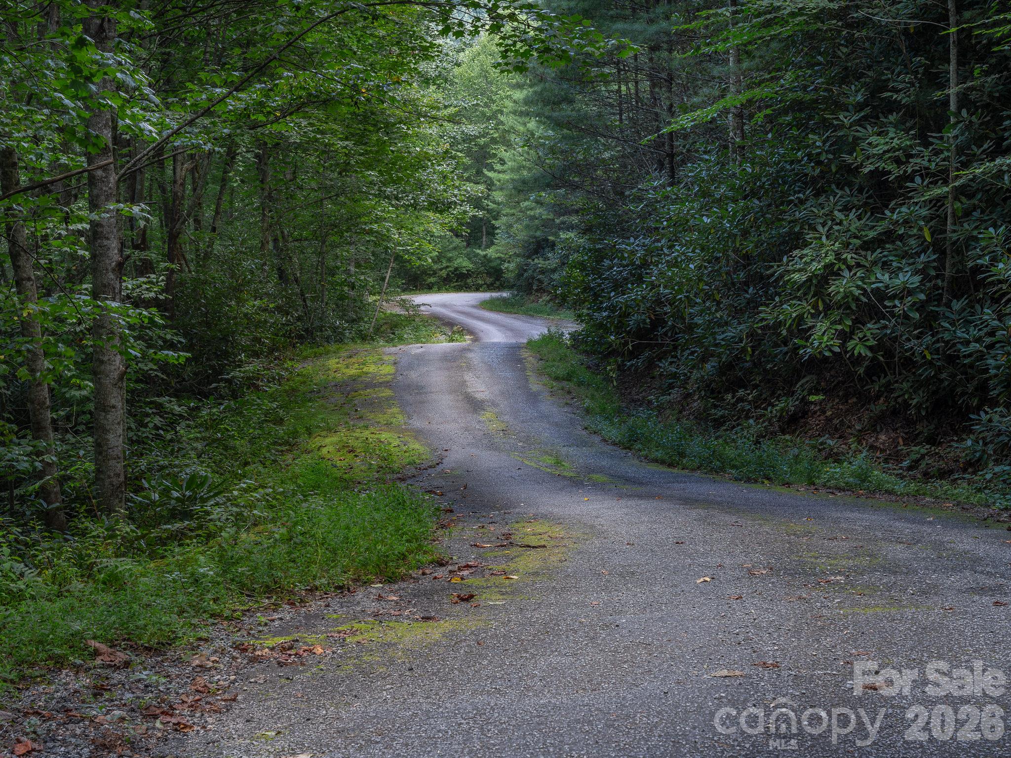 River Ridges Road - Lot 6 W Chestnut Ridges Road, Hendersonville