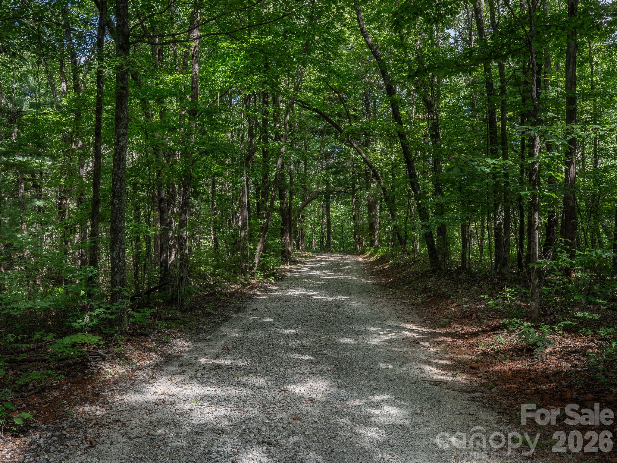 West Chestnut Ridges Road - Lot 6 W Chestnut Ridges Road, Hendersonville