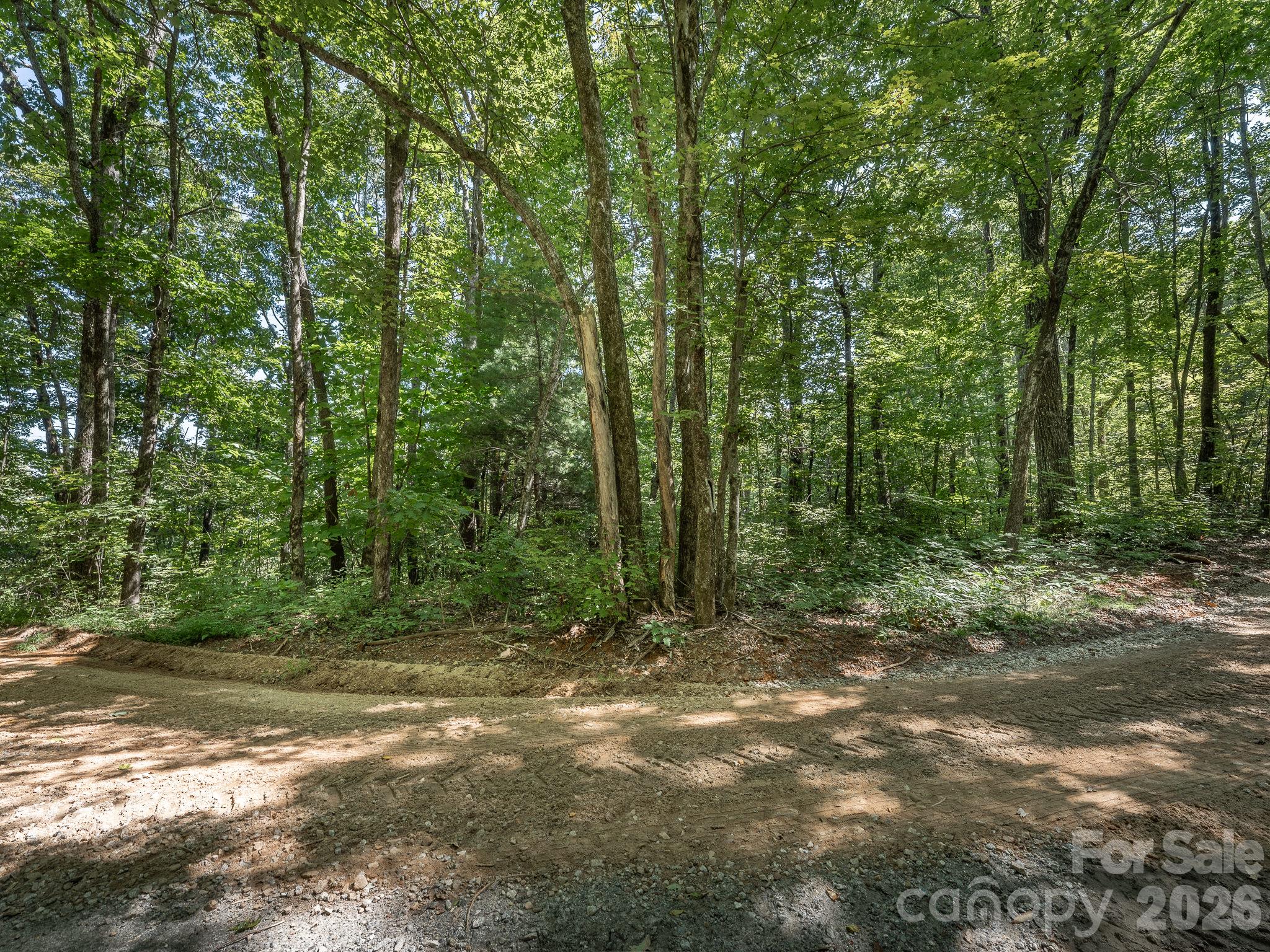 Lot from West Chestnut Ridges Road - Lot 6 W Chestnut Ridges Road, Hendersonville