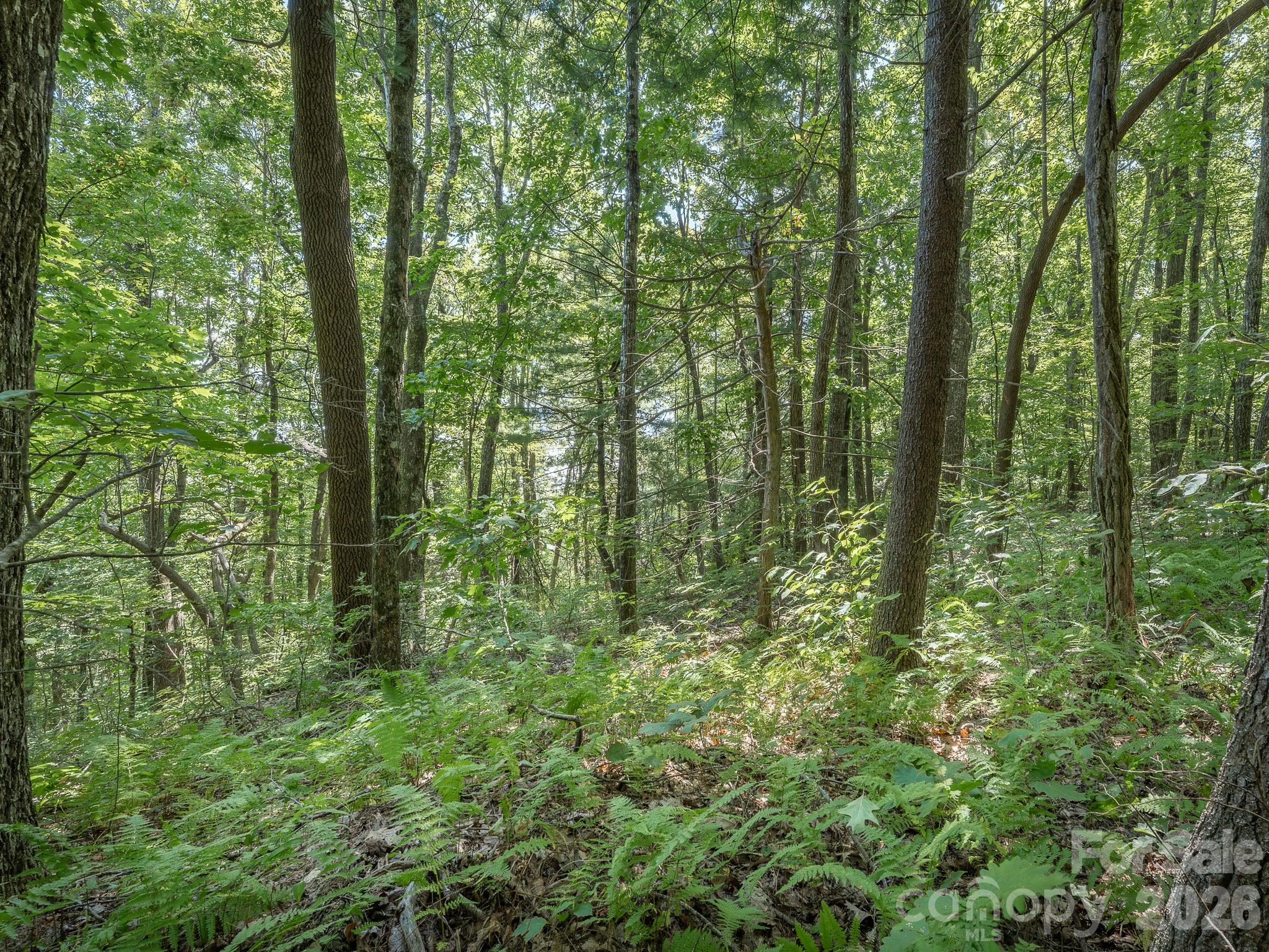 Lot - Lot 6 W Chestnut Ridges Road, Hendersonville