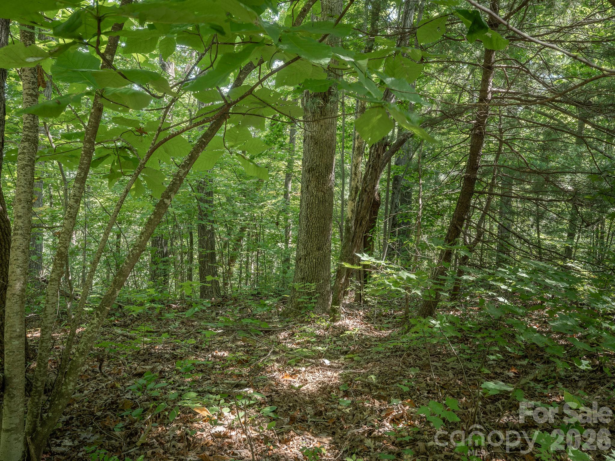 Lot - Lot 6 W Chestnut Ridges Road, Hendersonville