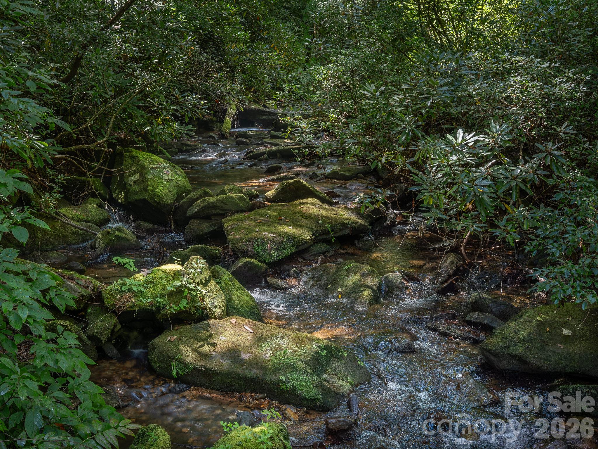 Surrounding area in close proximity to the lot, but outside of the community. - Lot 6 W Chestnut Ridges Road, Hendersonville