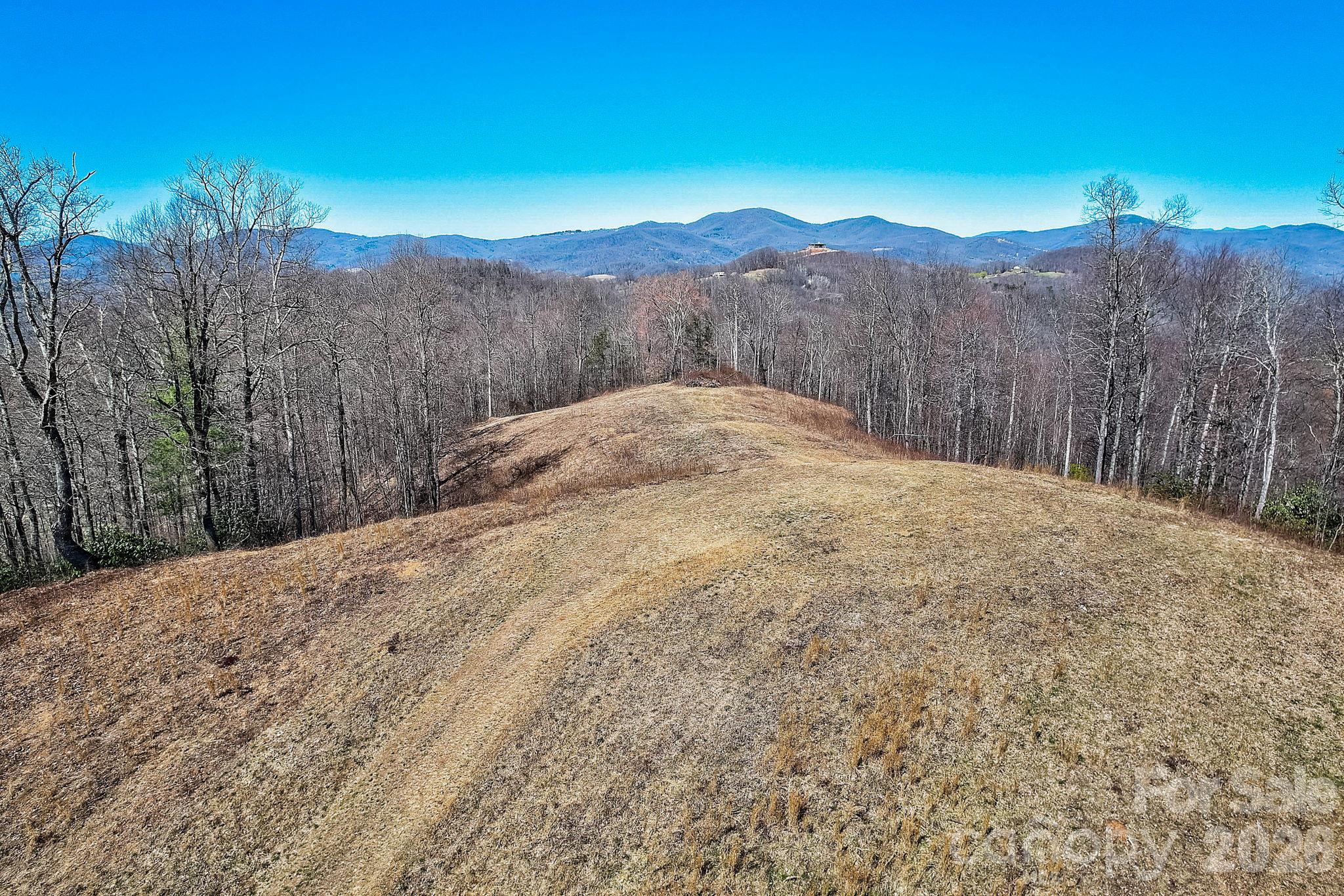 Acreage at 000 Little Creek Road, Hendersonville, photo 7 of 15