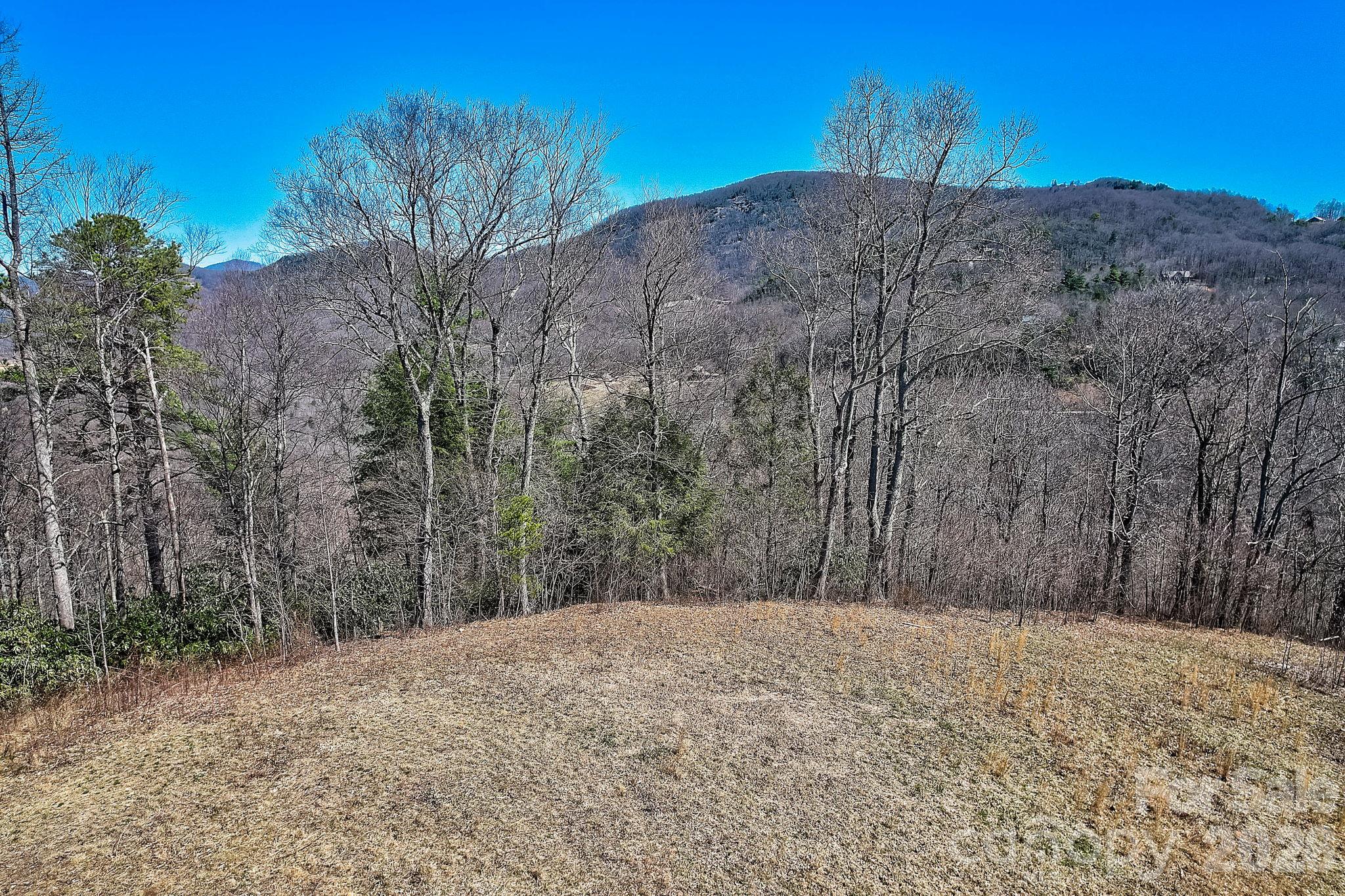 Acreage at 000 Little Creek Road, Hendersonville, photo 8 of 15
