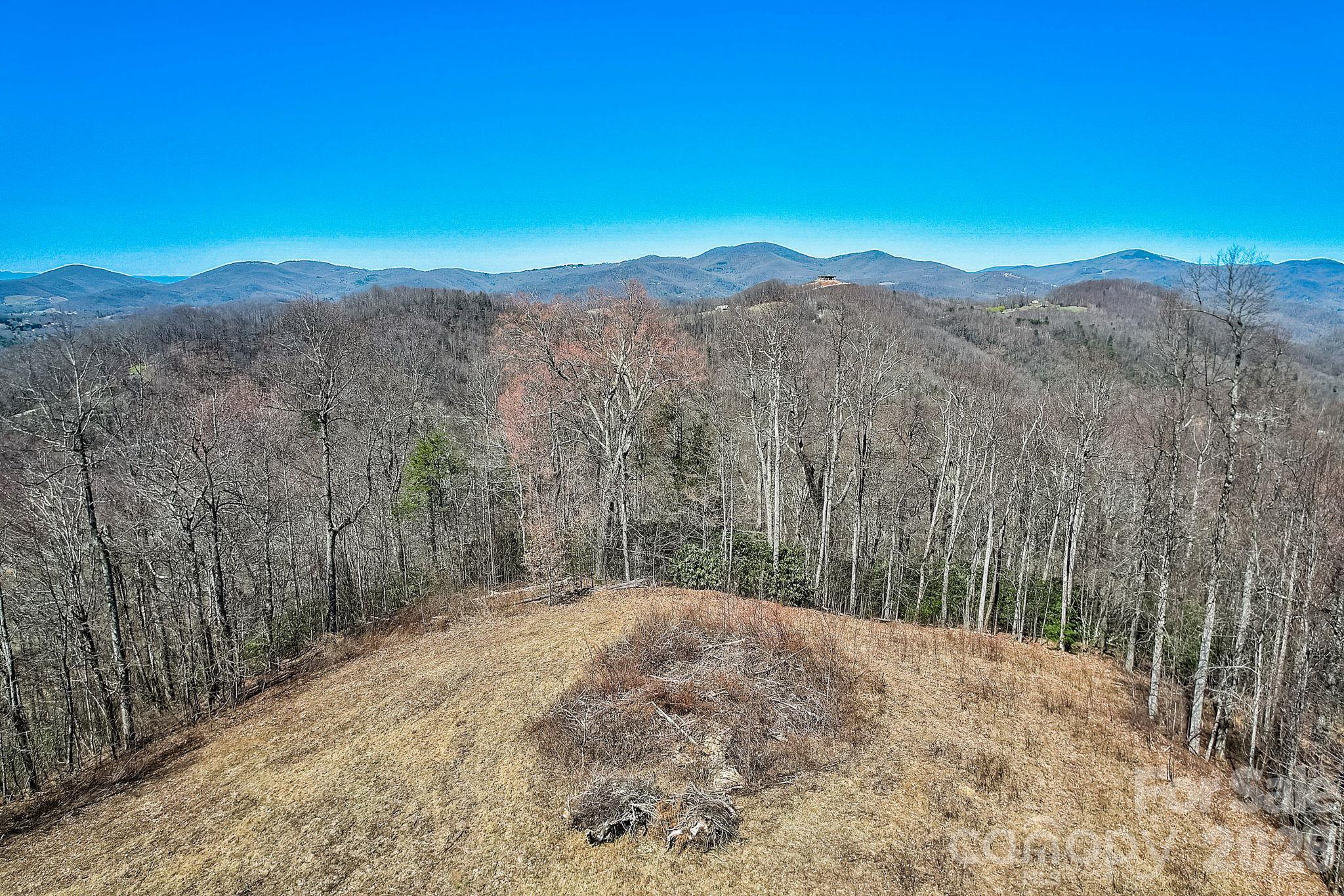 Acreage at 000 Little Creek Road, Hendersonville, photo 10 of 15