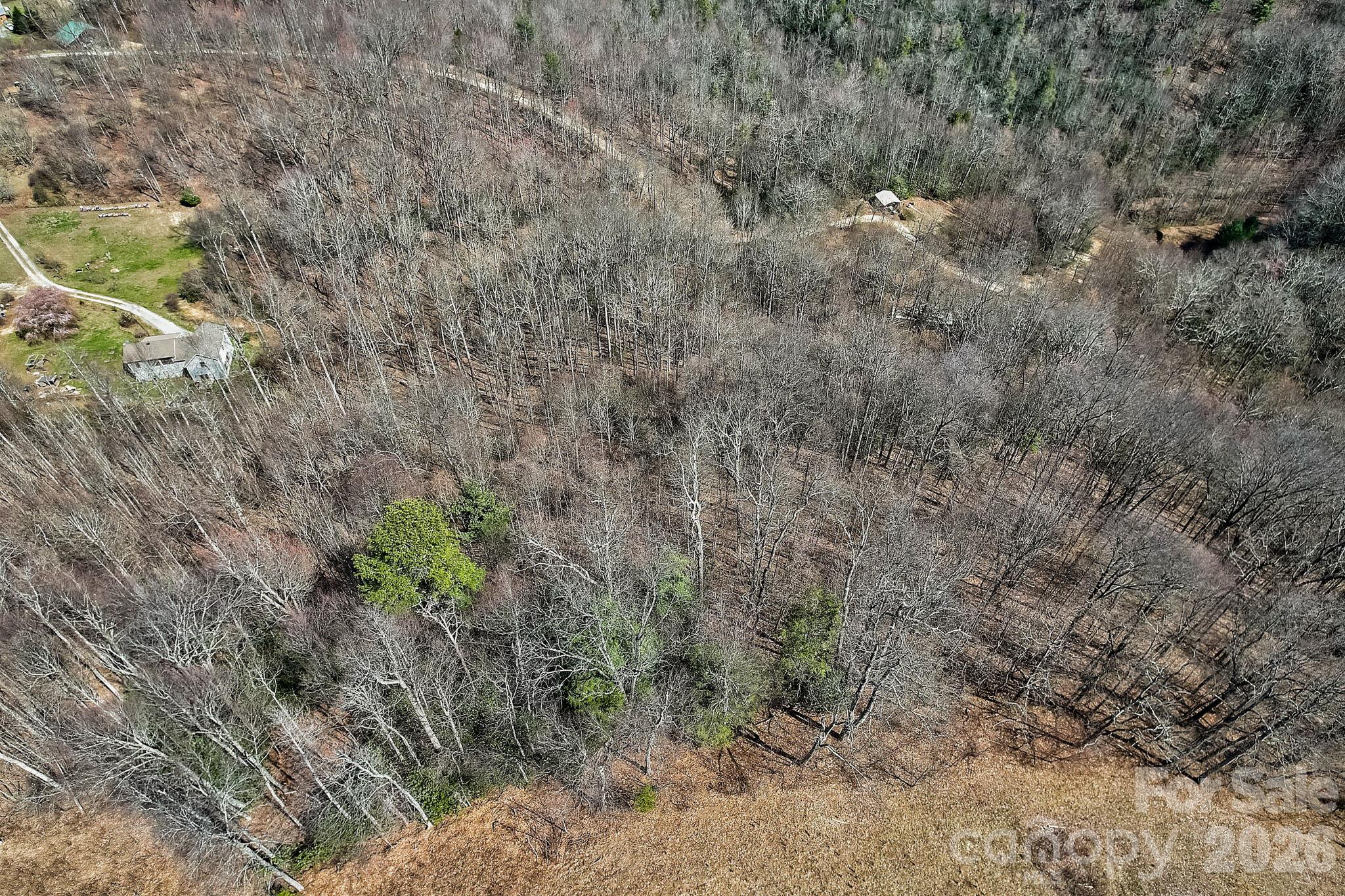 Acreage at 000 Little Creek Road, Hendersonville, photo 12 of 15