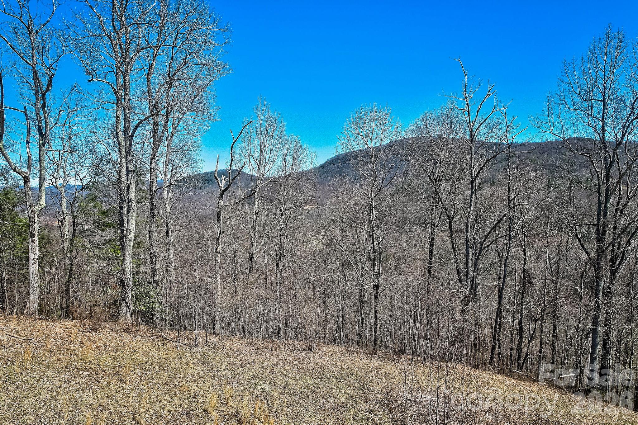 Acreage at 000 Little Creek Road, Hendersonville, photo 13 of 15