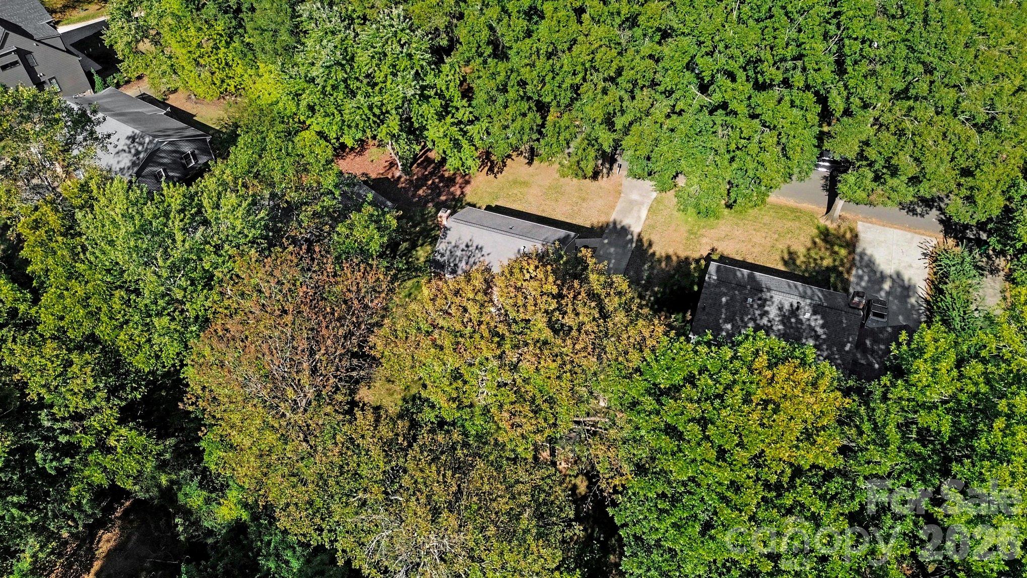 This neighborhood exeplifies the reason why Charlotte is called the City of Trees. - 640 Heather Lane, Charlotte