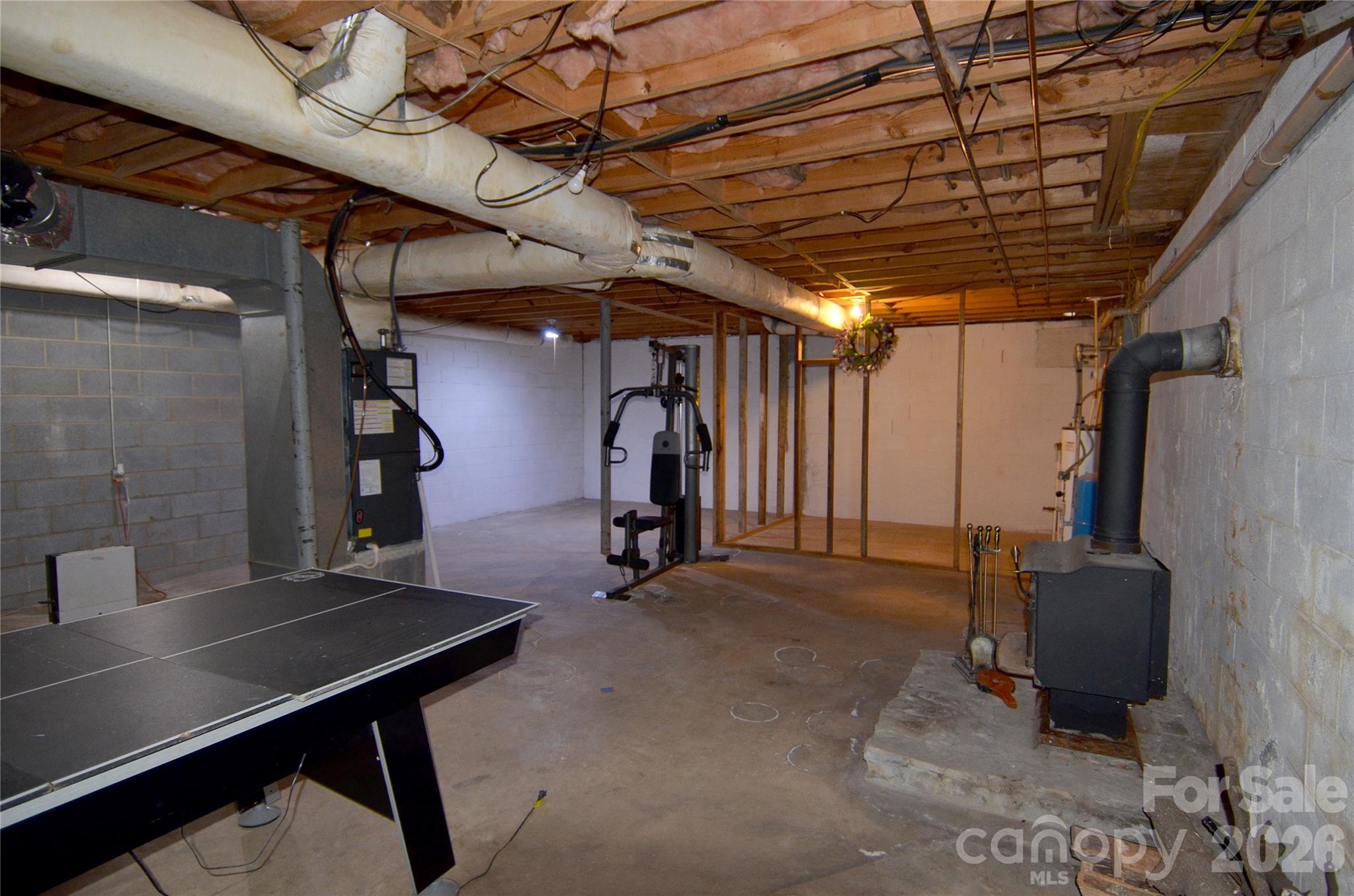 unfinished basement - 150 Eplee Loop, Marion
