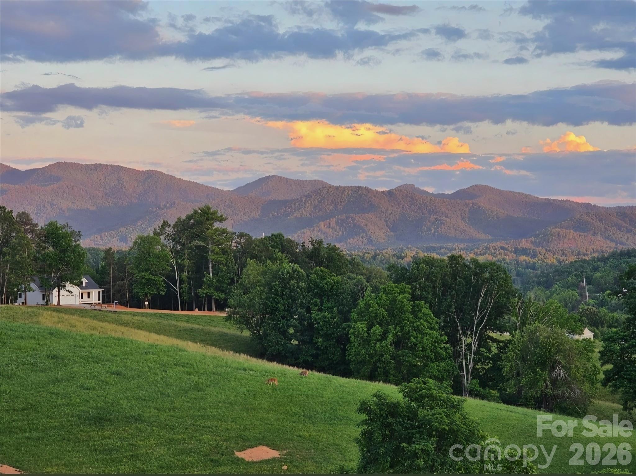 Single Family Residence at 441 Country Drive, Mars Hill, photo 10 of 47