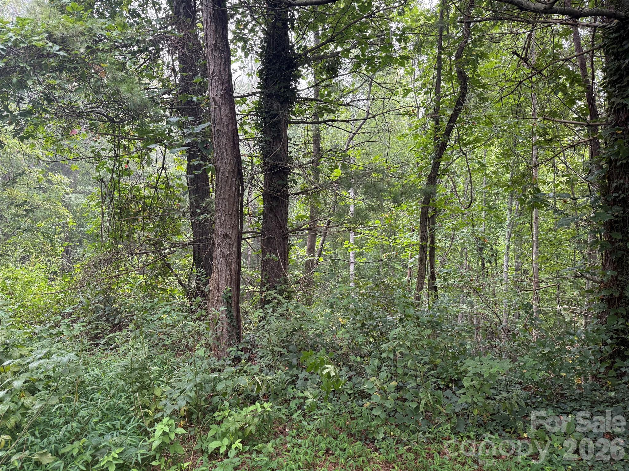 Lot at 99999 Elk Mountain Ridge, Asheville, photo 15 of 18