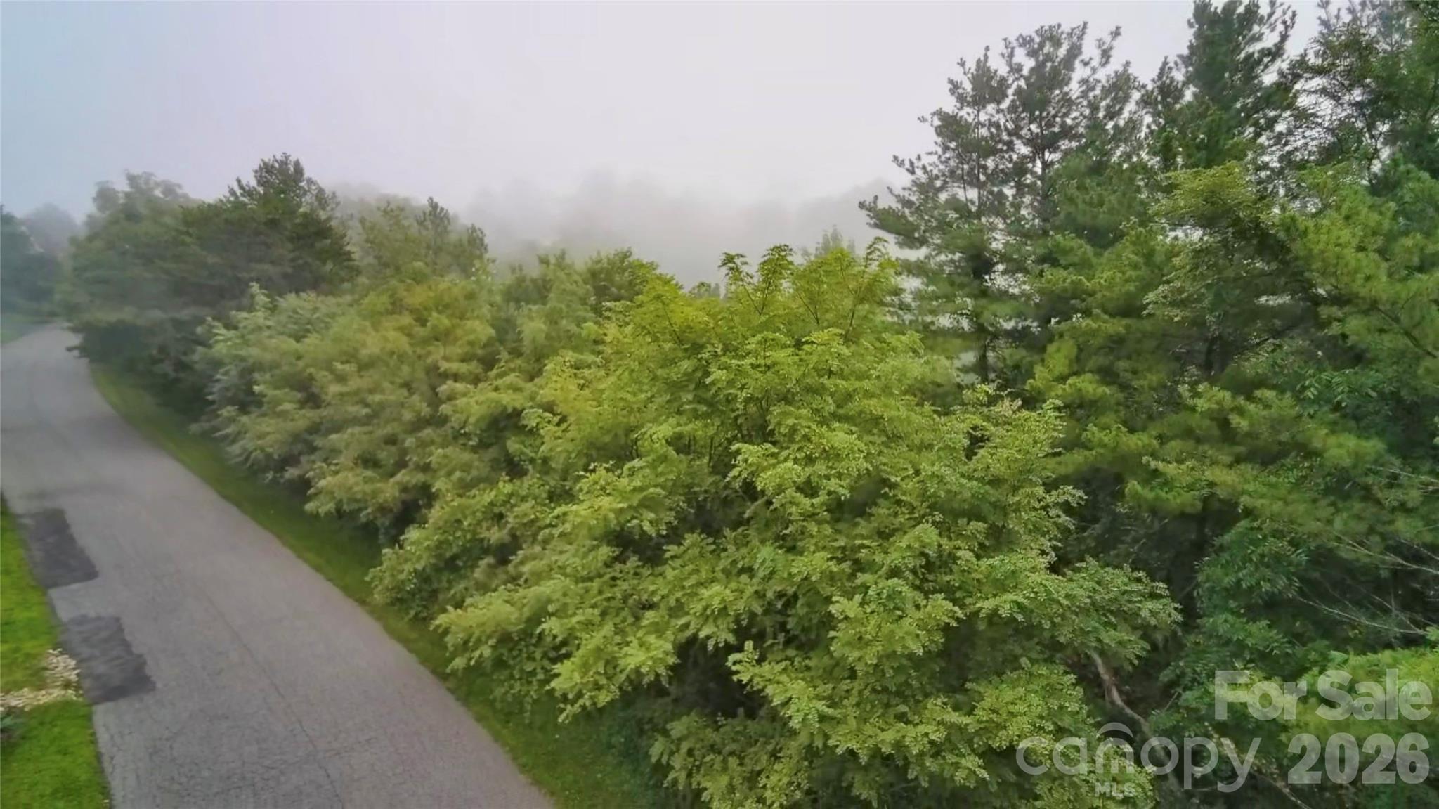 Lot at 99999 Elk Mountain Ridge, Asheville, photo 16 of 18