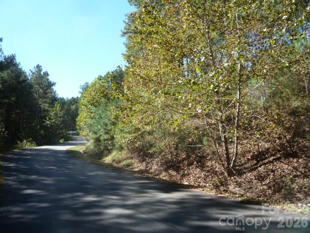Lot lower side - 144 Table Rock Trace NW, Valdese