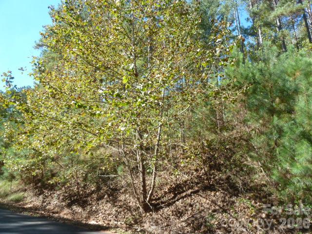 lower level - 144 Table Rock Trace NW, Valdese